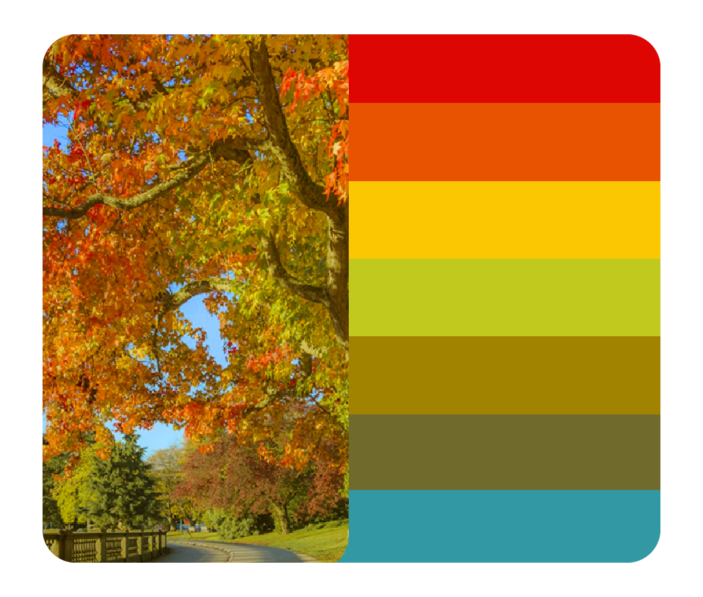 cores do outono verdadeiro ou outono puro