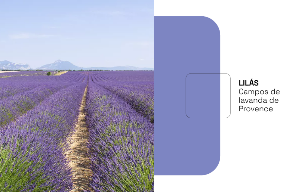 o lilás na cartela das Olimpíadas veio dos campos de lavanda